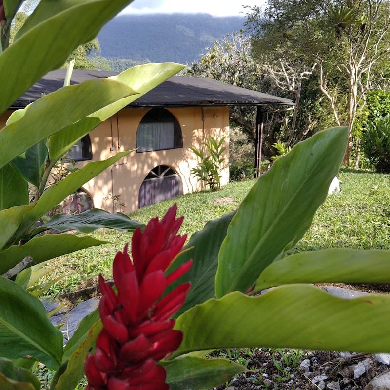 Spa & Posada El Tao La Azulita photo