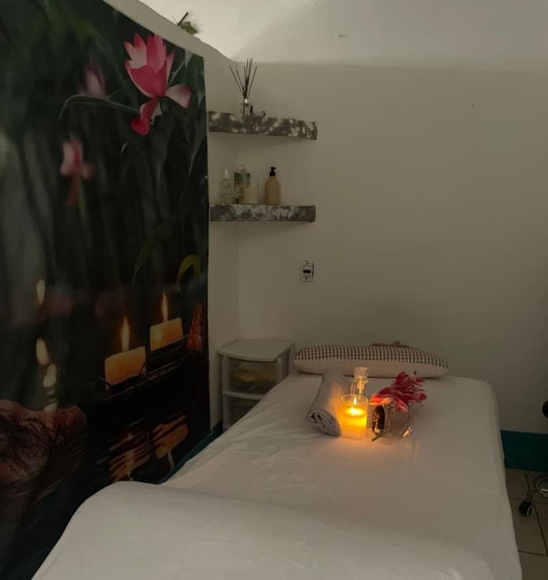 SPA RCS Puerto Vallarta photo