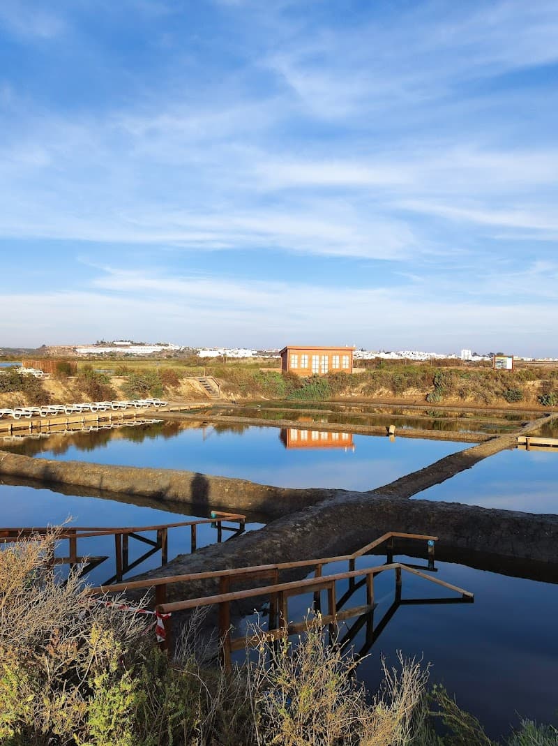 Spa Salino Castro Marim photo