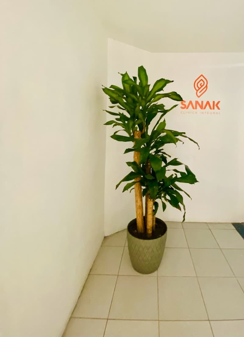 Spa Sanak Chalco photo