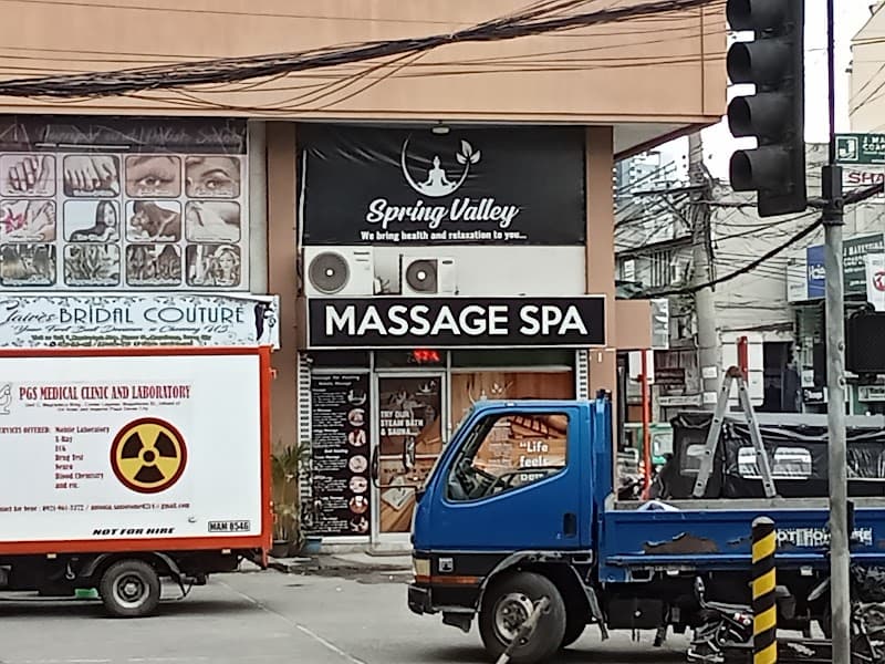 Spa Valley Sauna Davao City photo