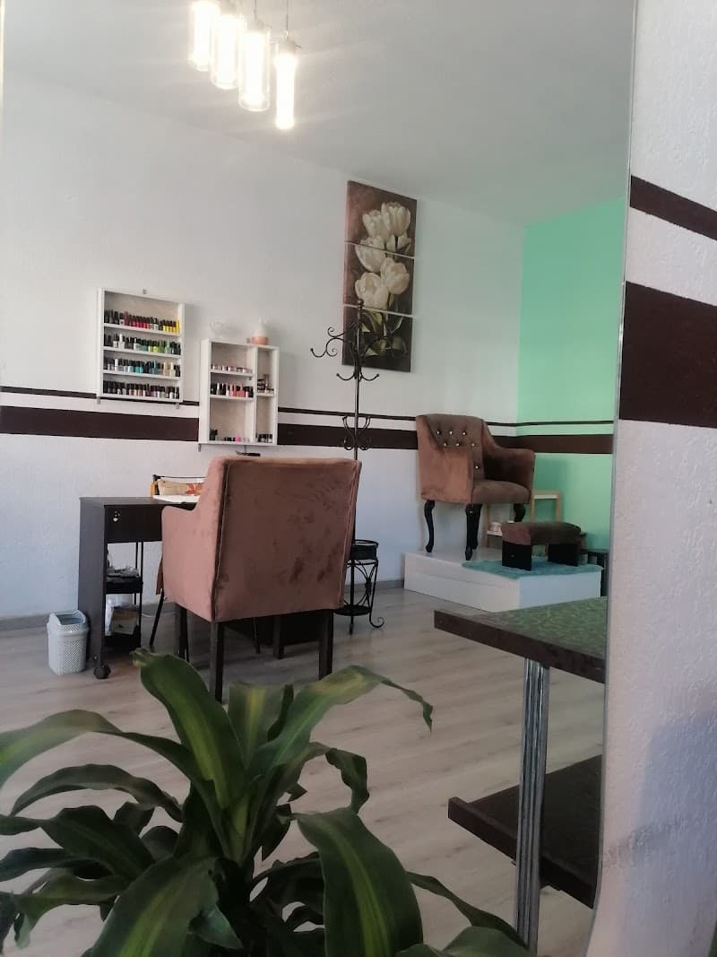 Spa Zen La Florida photo