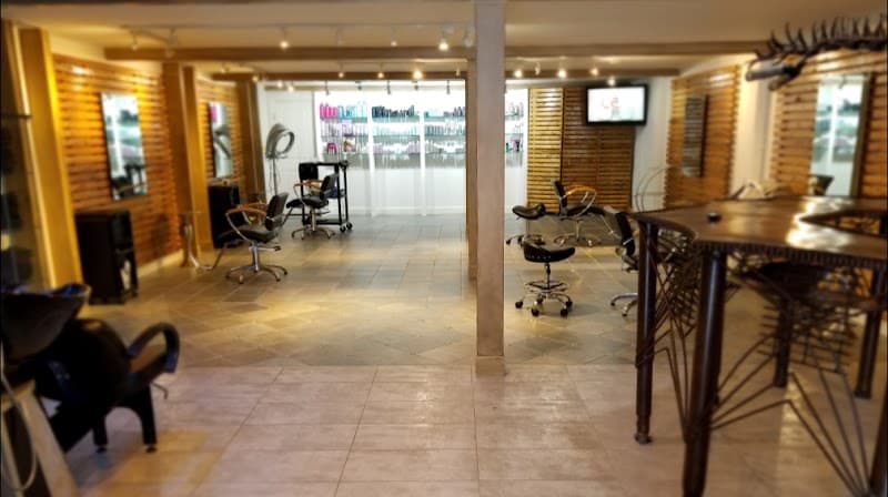 Spalon International Houston photo