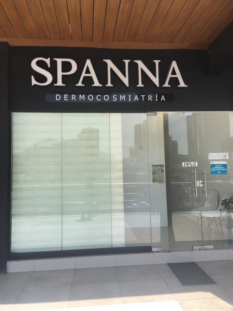 Spanna San Pedro Garza García photo