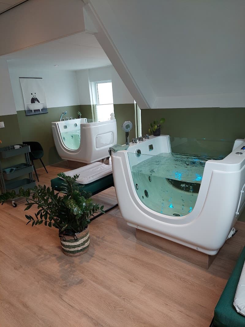 Sparkling Star Roelofarendsveen photo