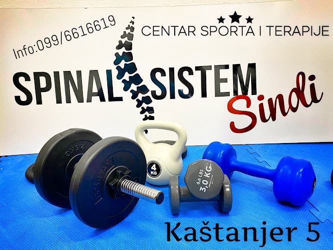 Spinal sistem Sindi Pula photo