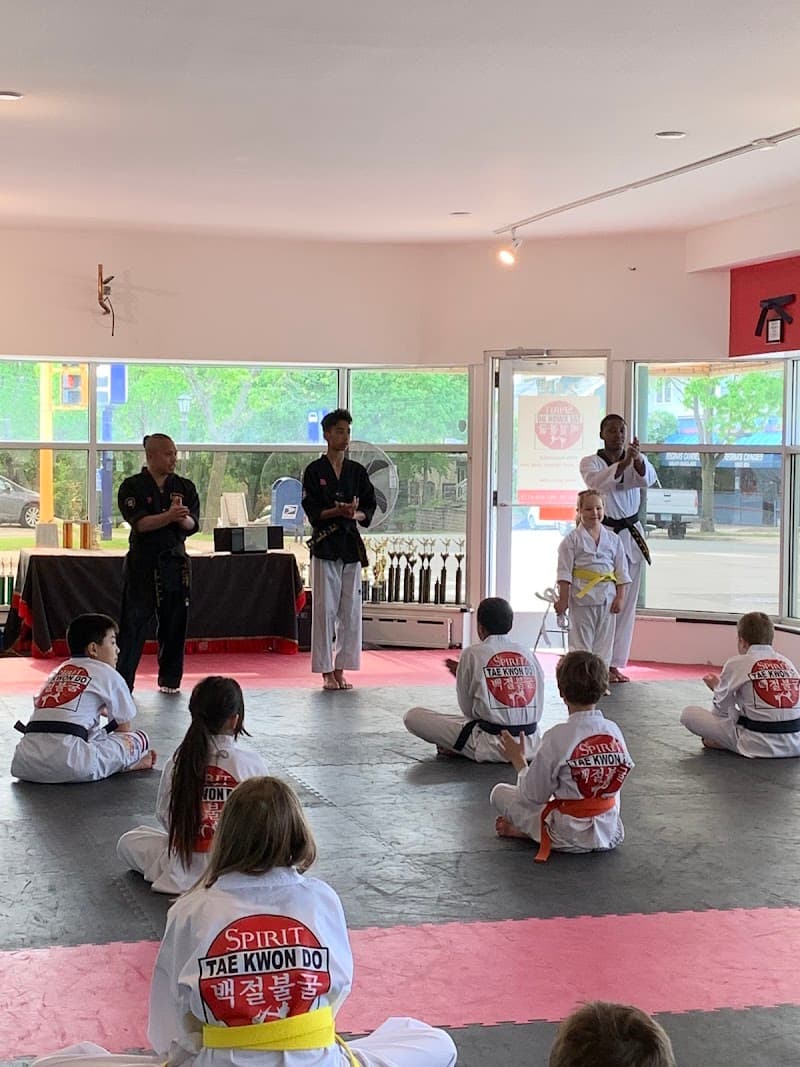 Spirit Taekwondo School Saint Paul photo