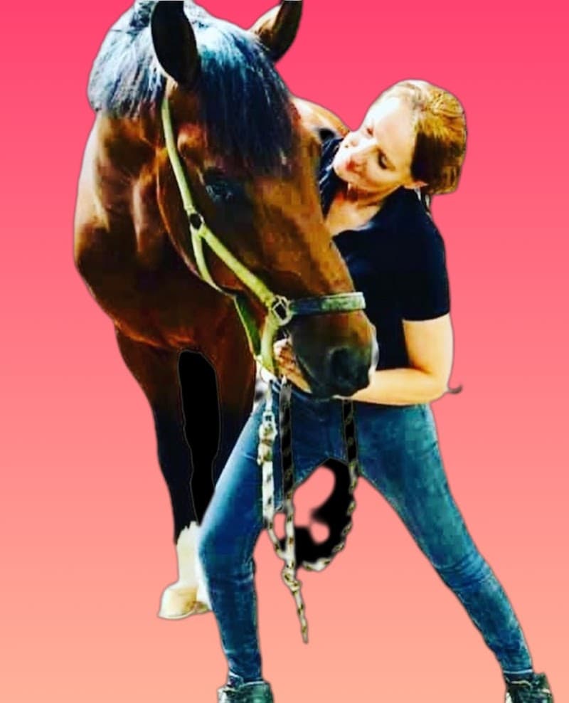 Sportmassage Wedstrijdpaard Haarlem photo