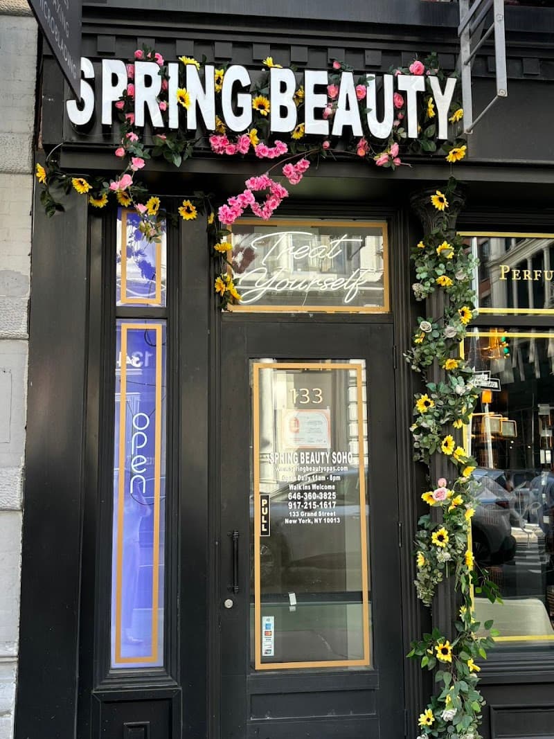 Spring Beauty Spa New York photo