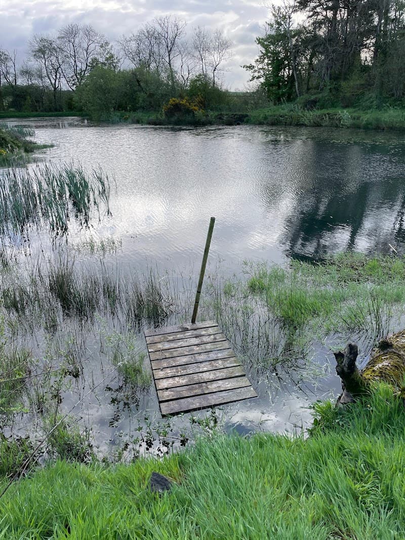 Springwell Manor Health Farm & Day Spa. Limavady photo