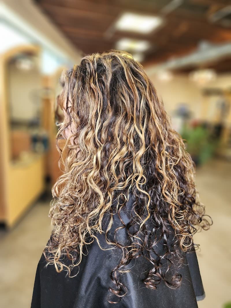 Spruce & Bond New York photo