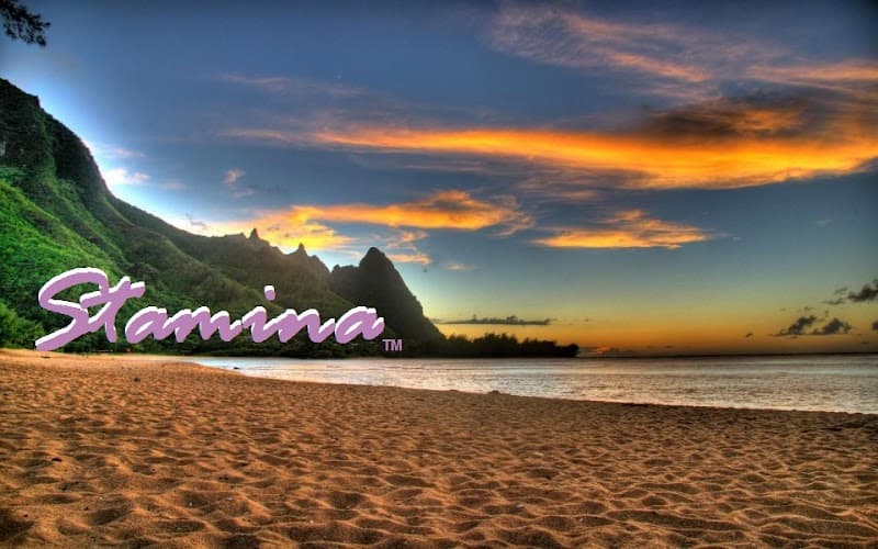 Stamina Wellness Center McKinney photo