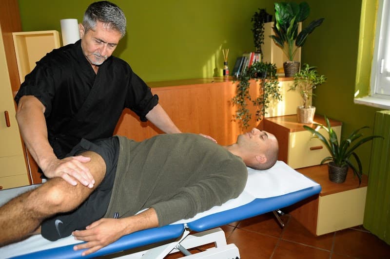 Stefano Bolzan Shiatsu & Wellness Corsico photo