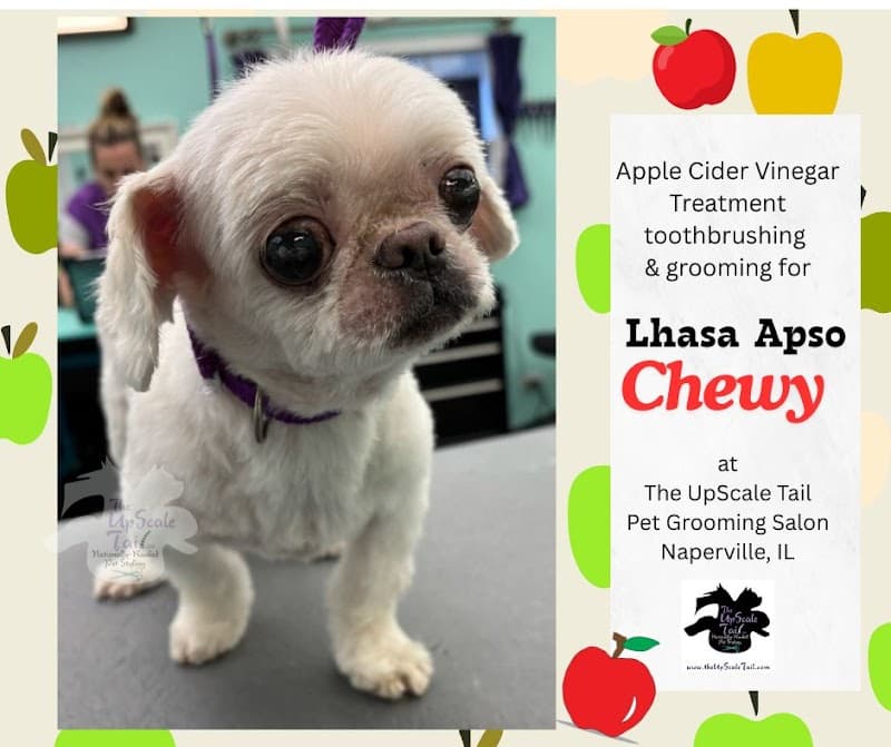 Steph's Tail Waggers Doggie Spa Naperville photo