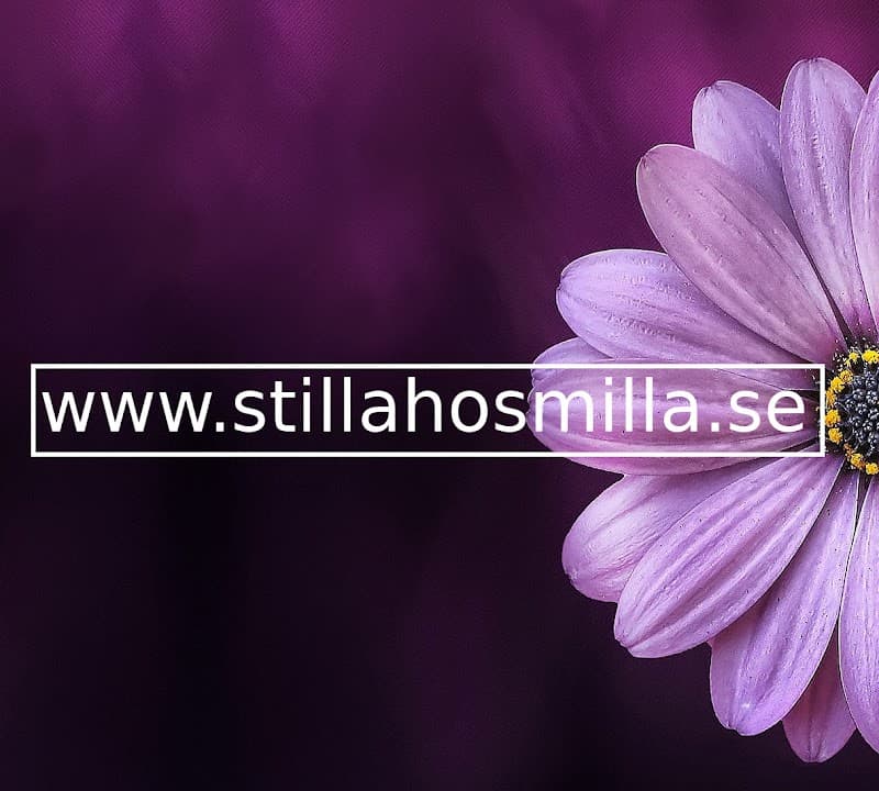 Stilla hos Milla Rotebro photo
