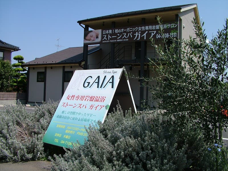 Stone Spa GAIA Kashiwa City photo