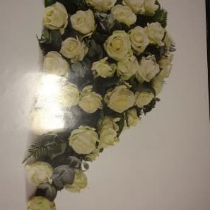 Studio Anneke Holtrop Haskerhorne photo