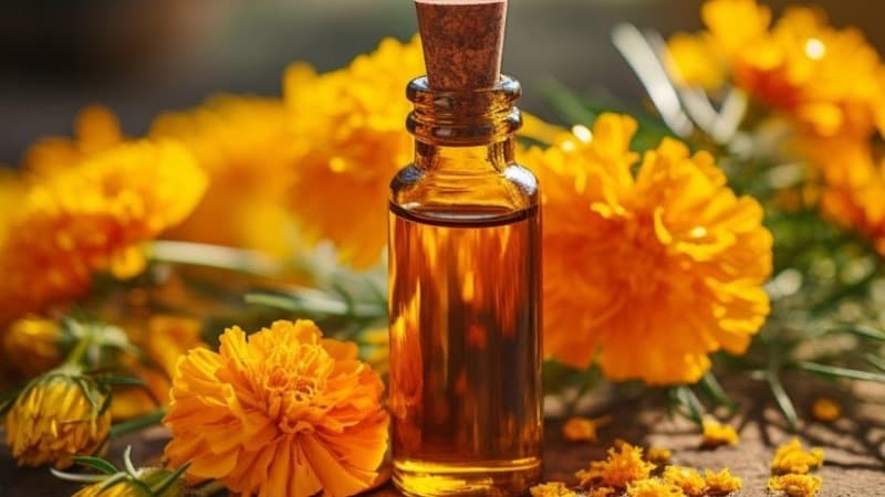 Studio di Naturopatia e Massoterapia di Tomat Lisa Courmayeur photo