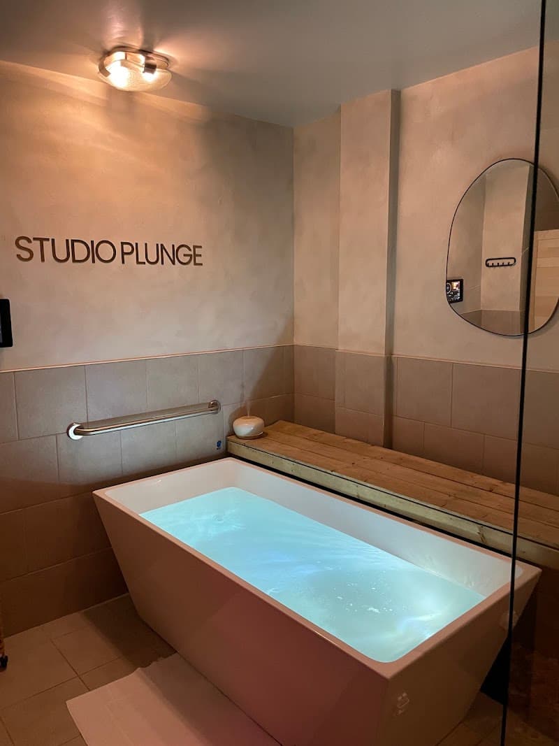 Studio Plunge Tecumseh photo