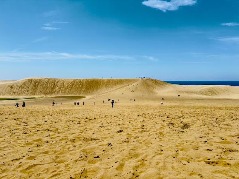 Suiso Zaurus Tottori Tottori City photo