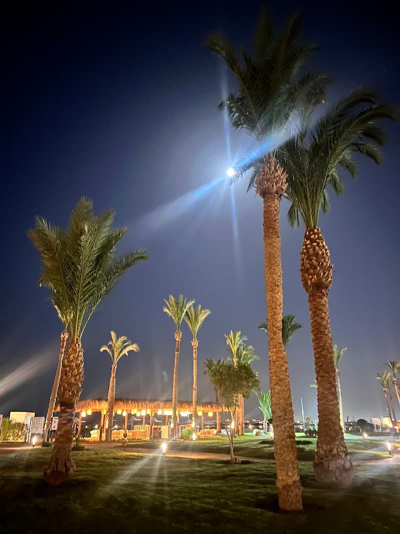 SUNRISE Alma Bay Resort Hurghada photo