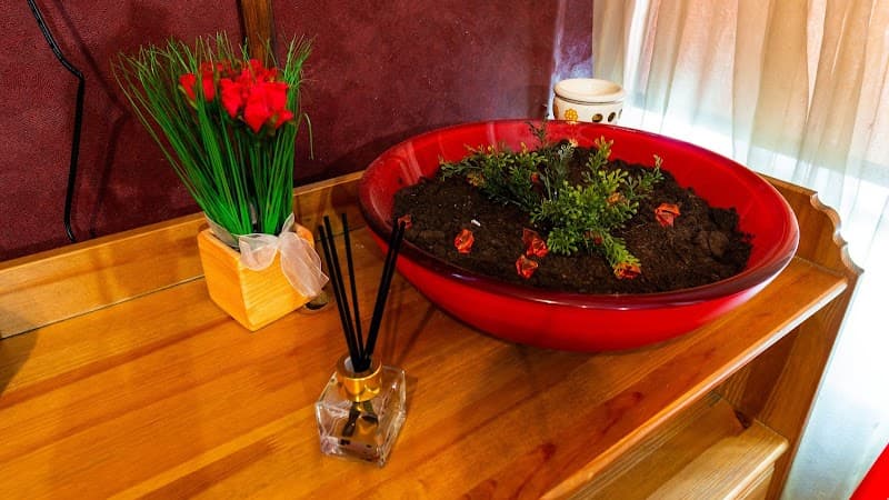 Sunrise spa Saint Petersburg photo