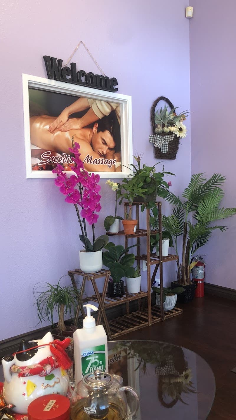 Swan Spa Inc Arcadia photo