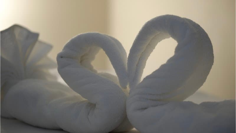 Swan Spa Suite Los Angeles photo