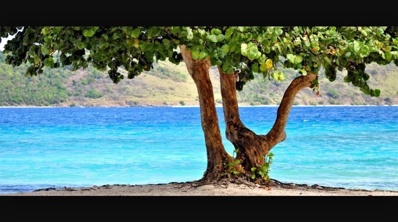 Synergy Fitness and Wellness Center St. Thomas photo