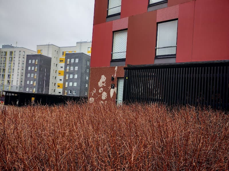 T:mi Anu Liikkanen Koulutettu hieroja / PT Vantaa photo