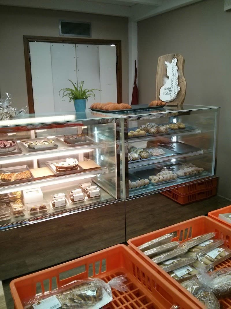 T:mi Nina Tanninen Paimio photo