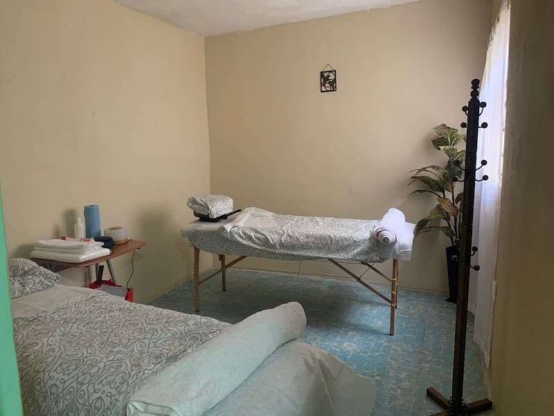 T-Zunum Centro holístico Venustiano Carranza photo