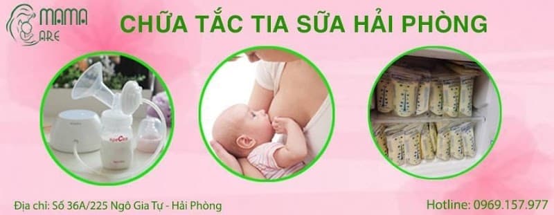 Tắc tia sữa Hải Phòng photo