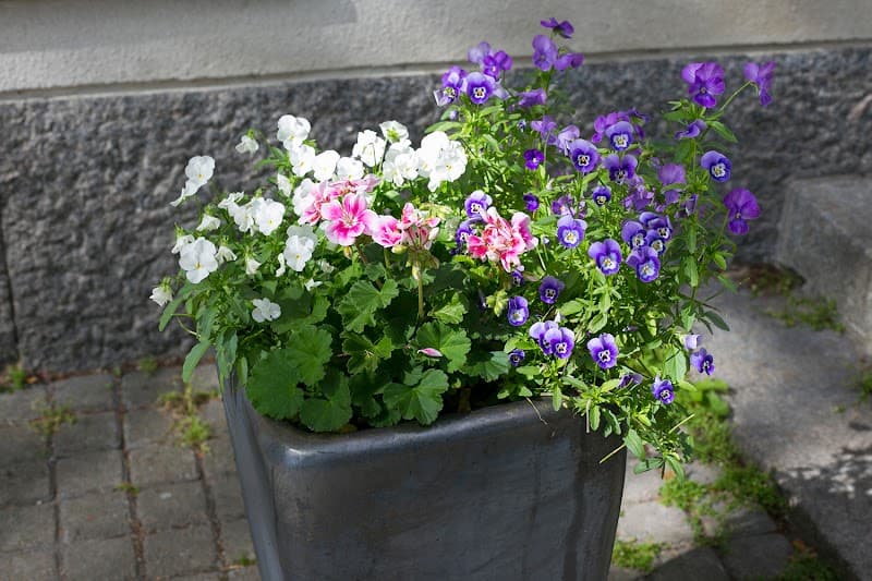 TaikaTuulia Hyvinvointipalvelut Hyrynsalmi photo