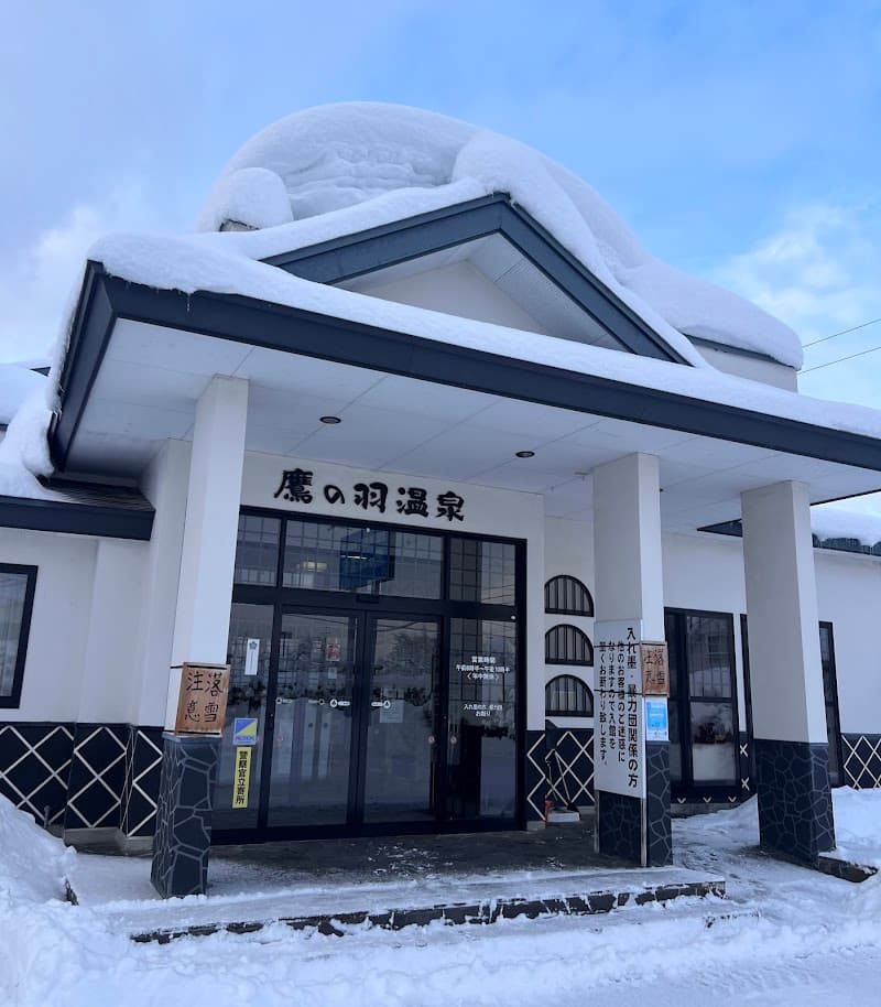 Takanohane Onsen Hirakawa City photo