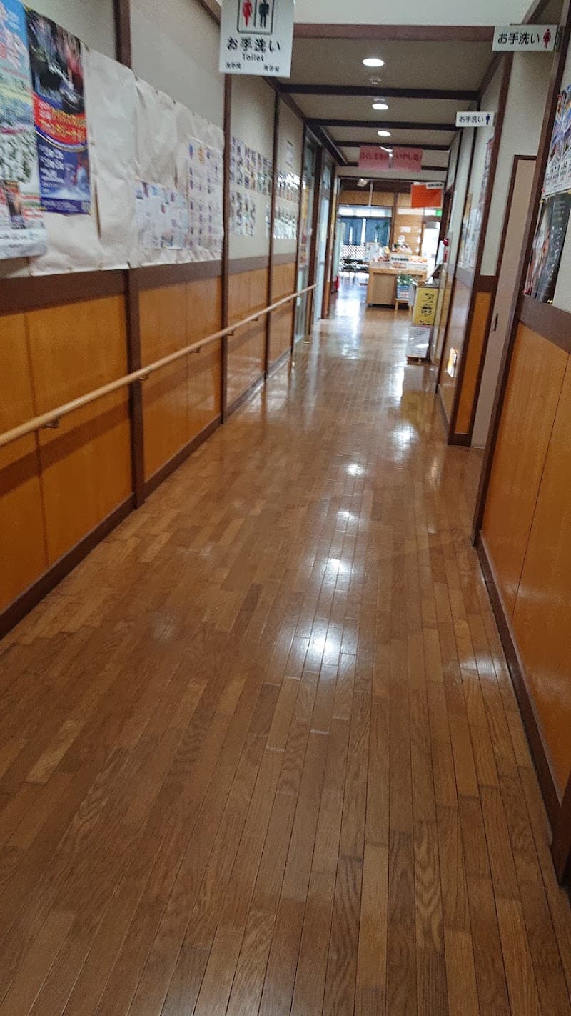 Takarabe Onsen Health Center Soo City photo