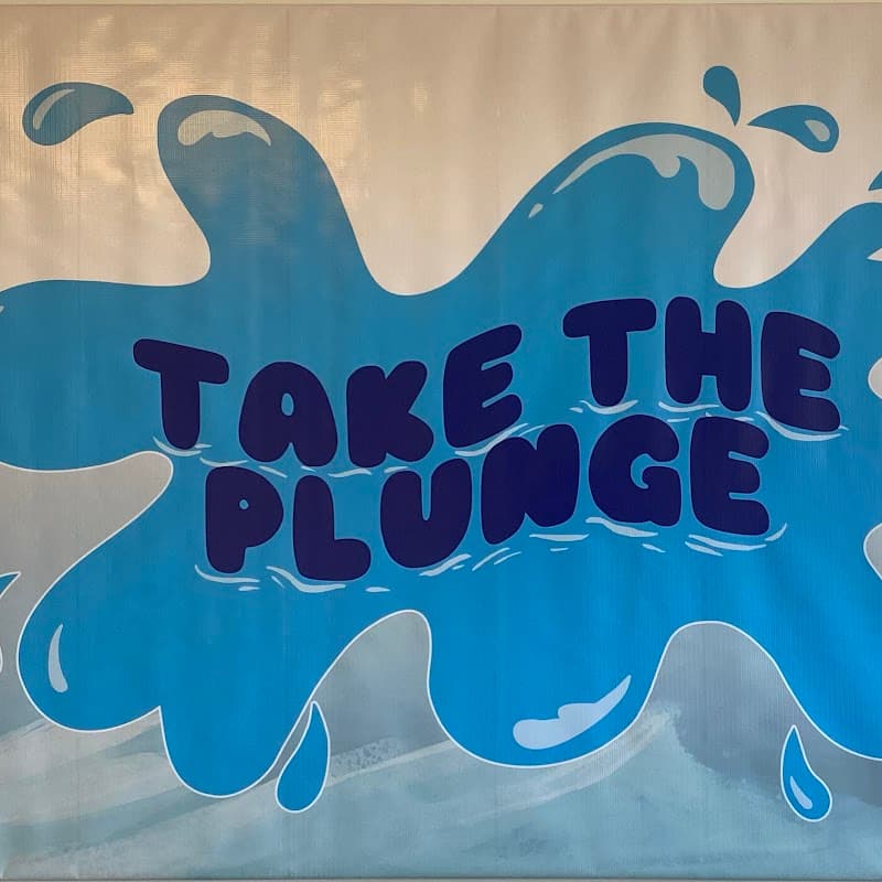 Take The Plunge Woodstock photo