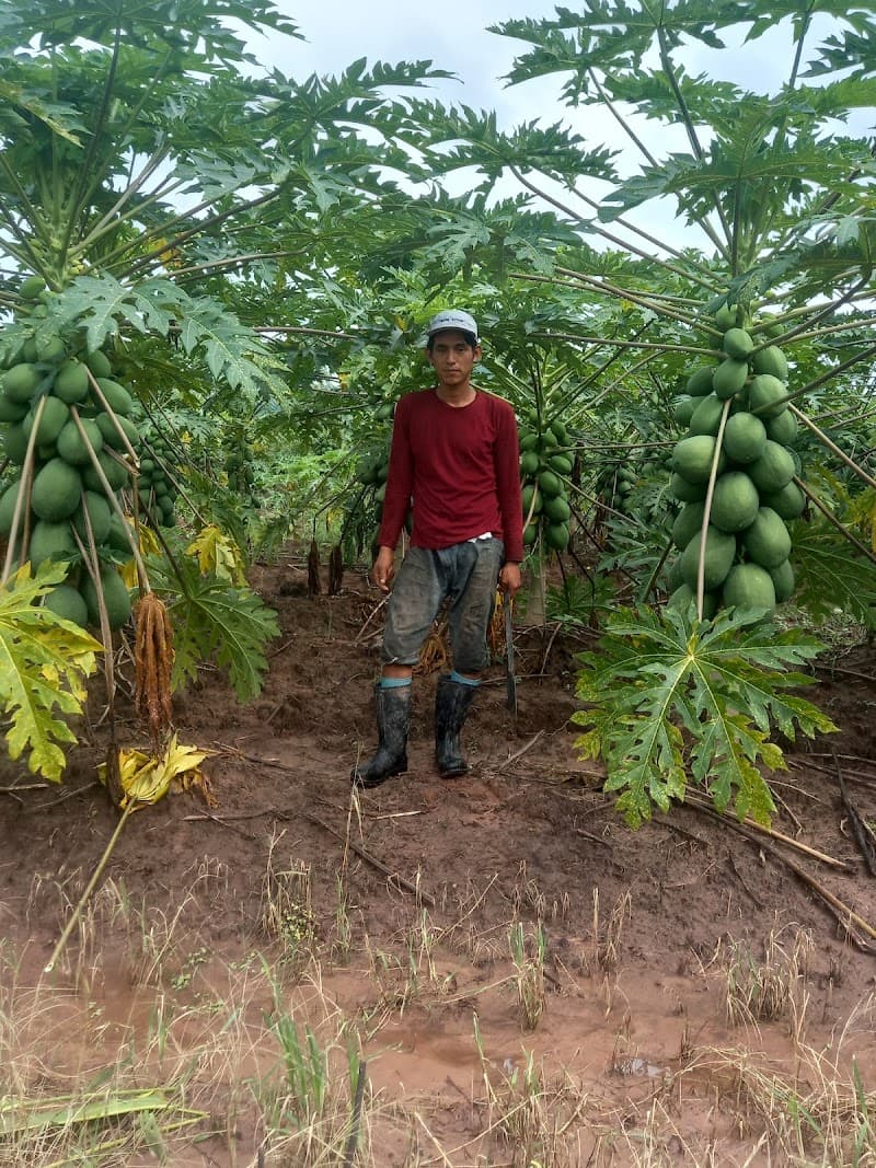 Talia Espinoza SPA Guasave photo