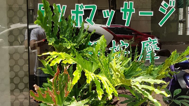 Tẩm Quất Chân Hồng Mẫu Đơn Quận Hai Bà Trưng photo