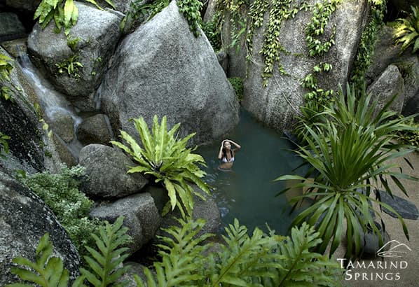 Tamarind Springs Koh Samui photo