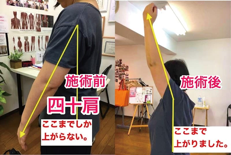 Tamoto Seitai Kenkyujo Hiroshima City photo