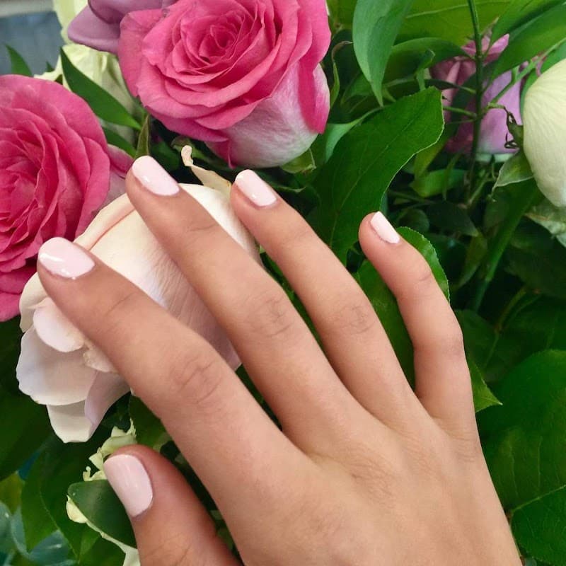 Tanaz Hair Boutique Express Grand Rapids photo