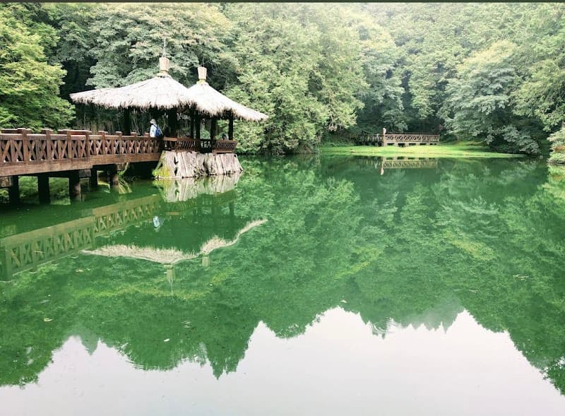 Tangzhihua Ganbanyoku Alishan Branch photo