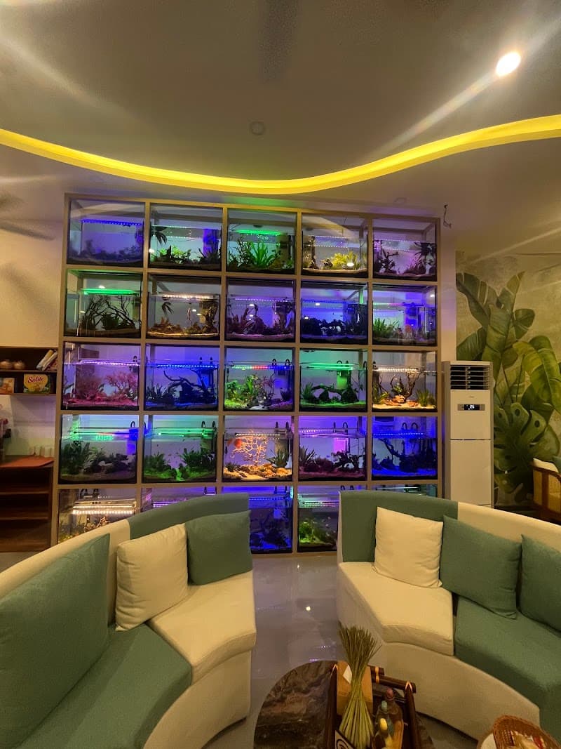 Tara Spa - Tara Spa - Nha Trang Massage Spa - Massage in Nha Trang photo