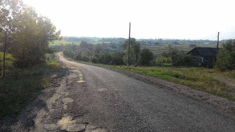 Tarashany Hlybotskyi District photo