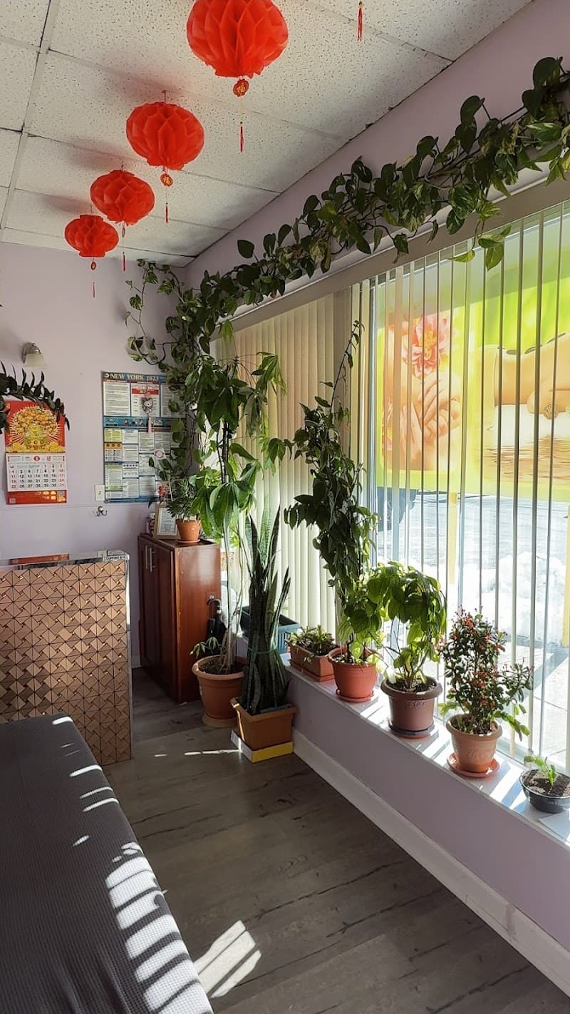 Tea Tree Foot Spa Franklin Square photo