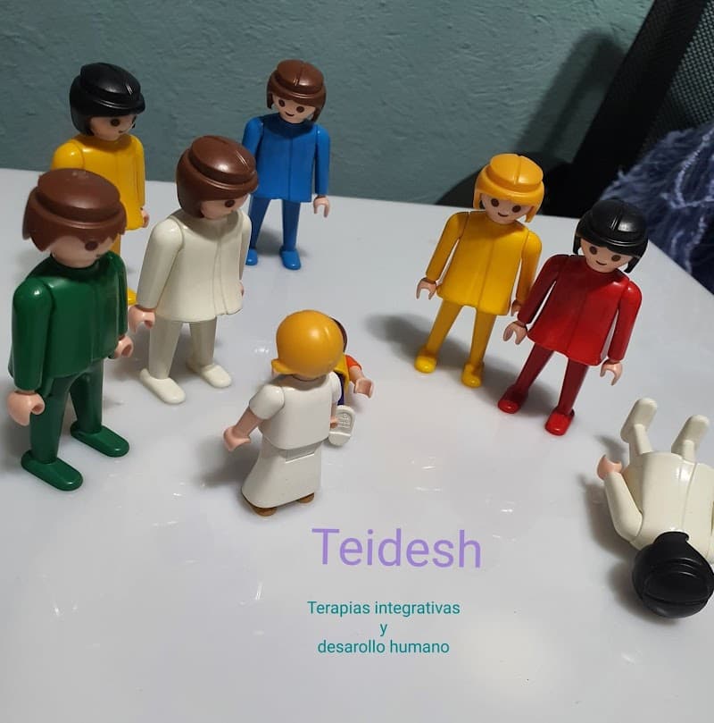 Teidesh SPA Guadalajara photo
