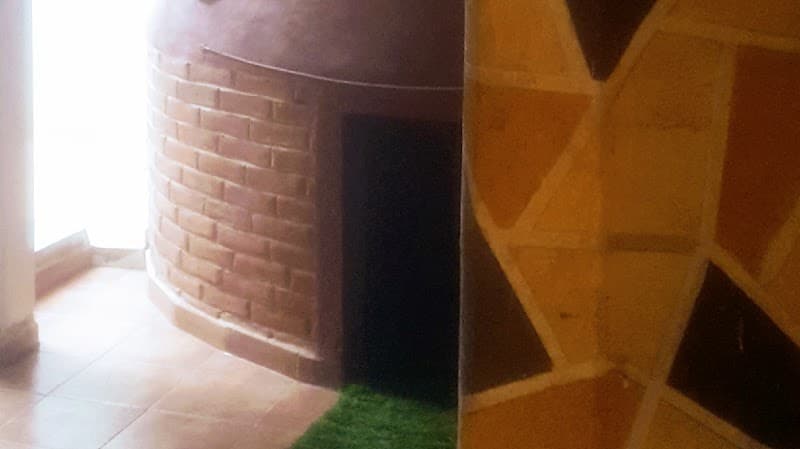 Temazcal Casa de Vapor Melchor Ocampo photo