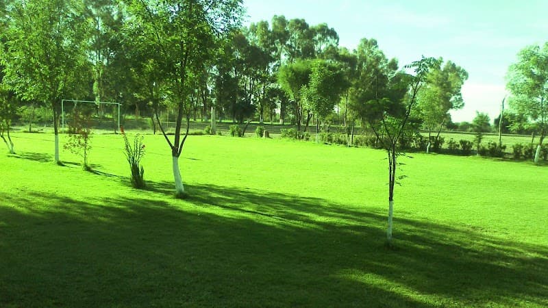 Temazcal El patio de las tres tejas Rincón de Romos photo
