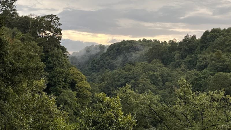 Temazcal Magia Ancestral Chimalhuacán photo